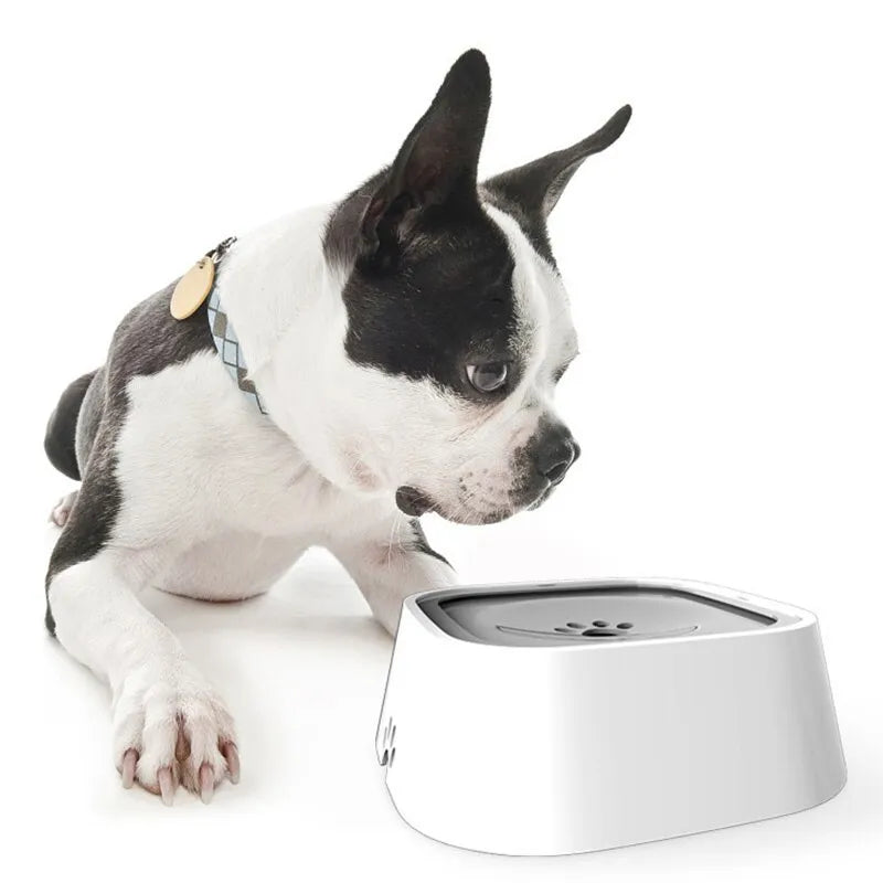 Dog Water Bowl No Spill™ - Paw And Personality